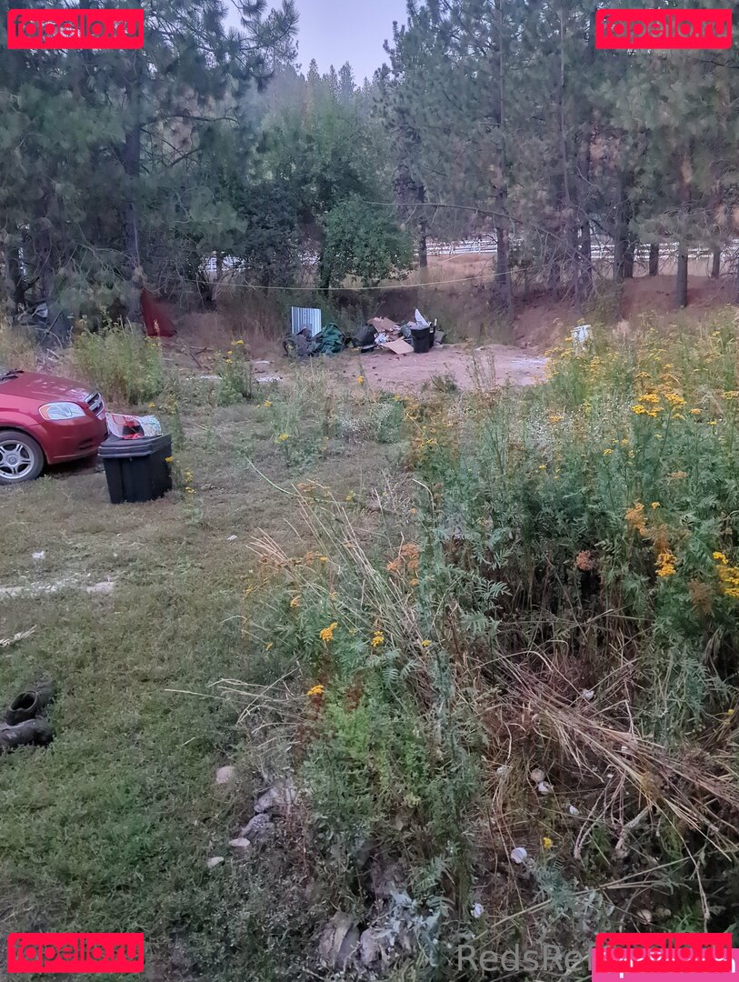 reddoodles2 / reddoodlesart / redsreferences Onlyfans Photo Gallery 