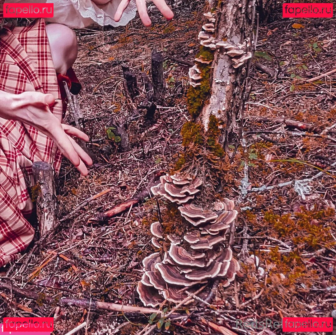 reddoodles2 / reddoodlesart / redsreferences Onlyfans Photo Gallery 