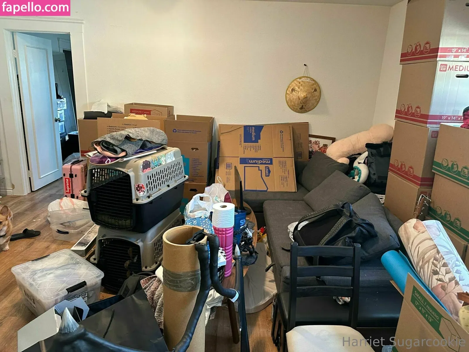 harrietsugarcookie Onlyfans Photo Gallery 