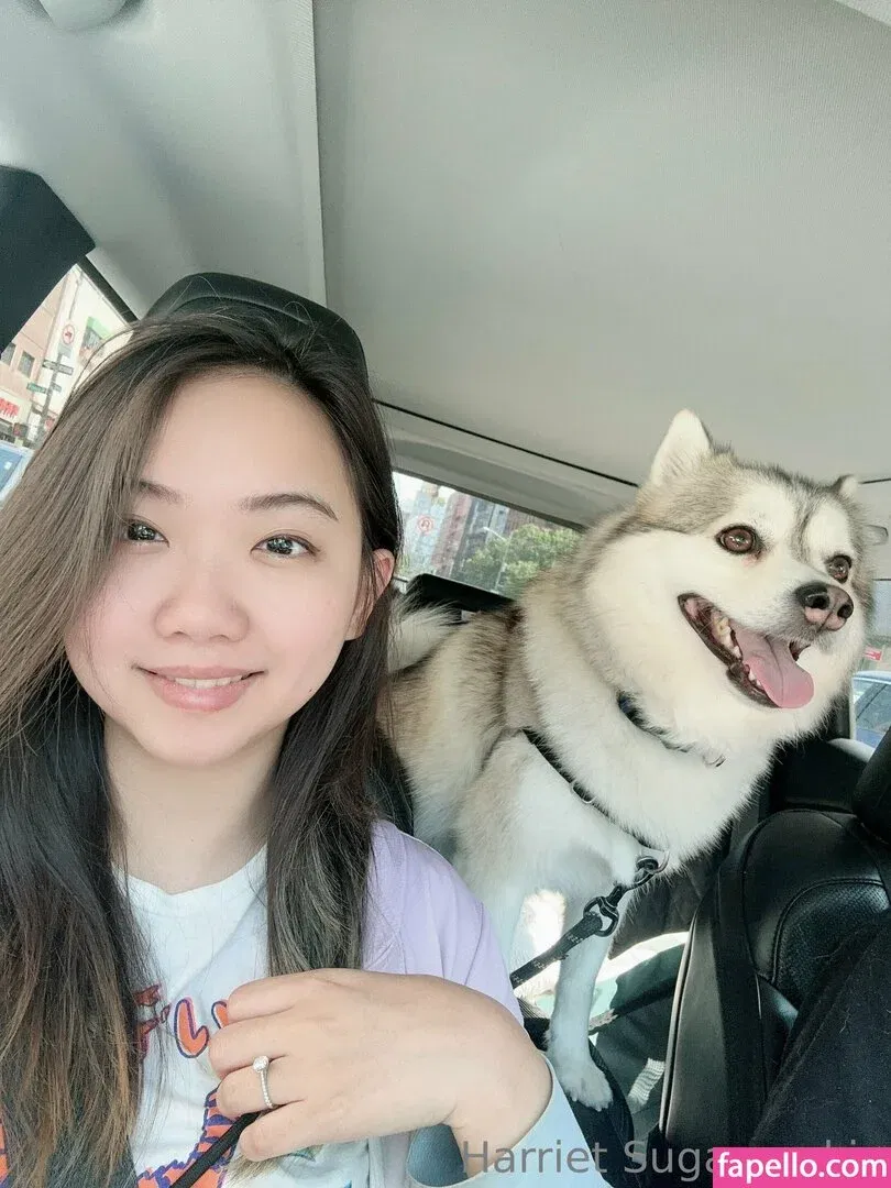 harrietsugarcookie Onlyfans Photo Gallery 