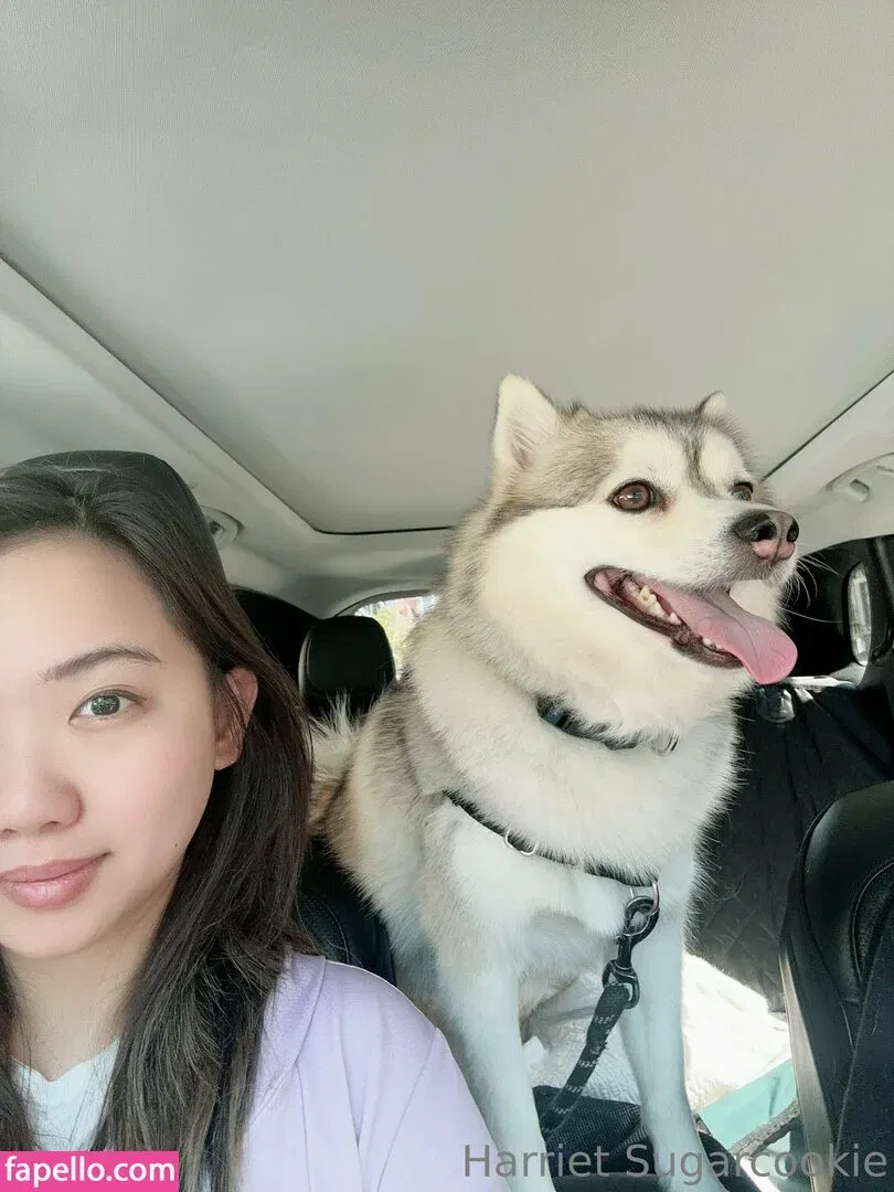 harrietsugarcookie Onlyfans Photo Gallery 