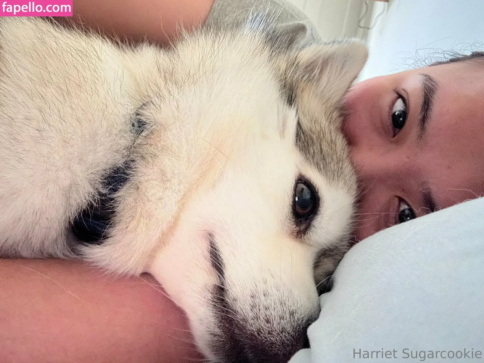 harrietsugarcookie Onlyfans Photo Gallery 