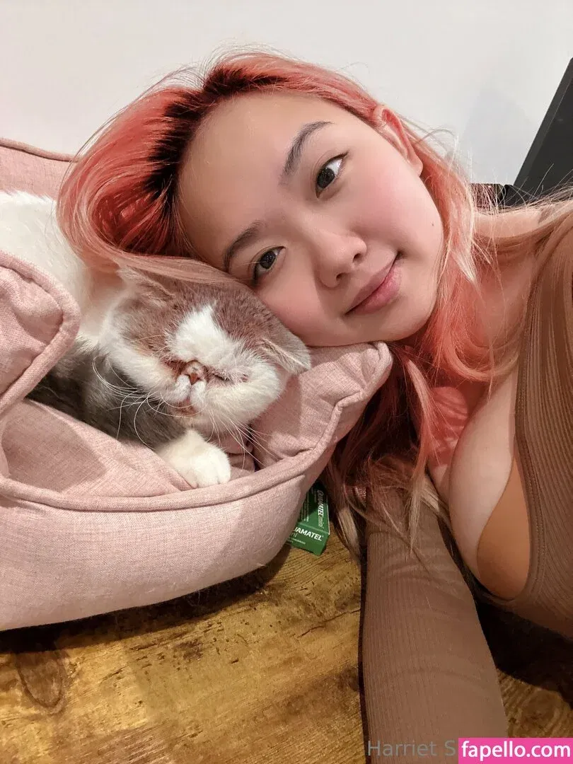 harrietsugarcookie Onlyfans Photo Gallery 