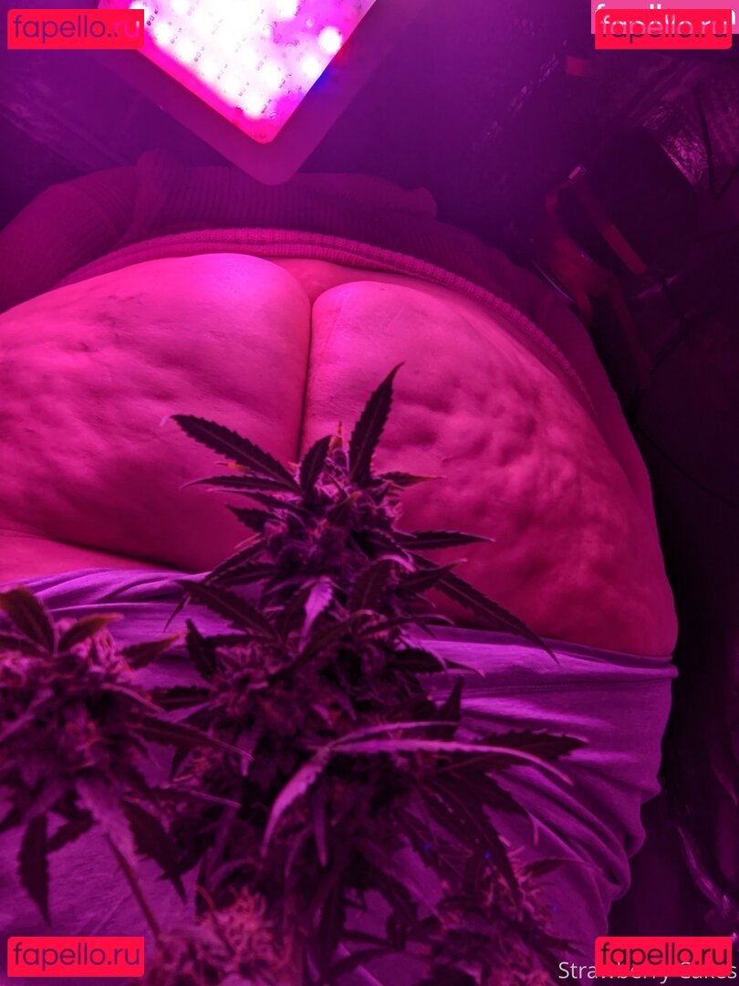 strawberry-cakes Onlyfans Photo Gallery 