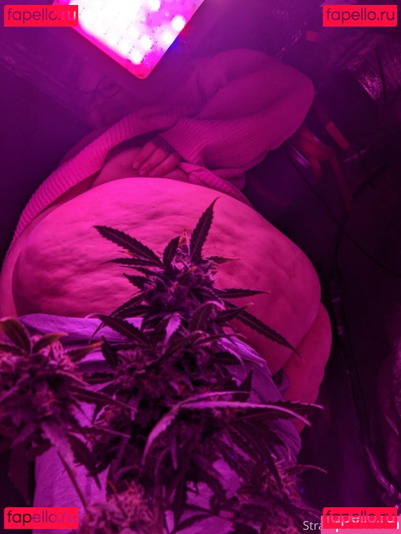 strawberry-cakes Onlyfans Photo Gallery 