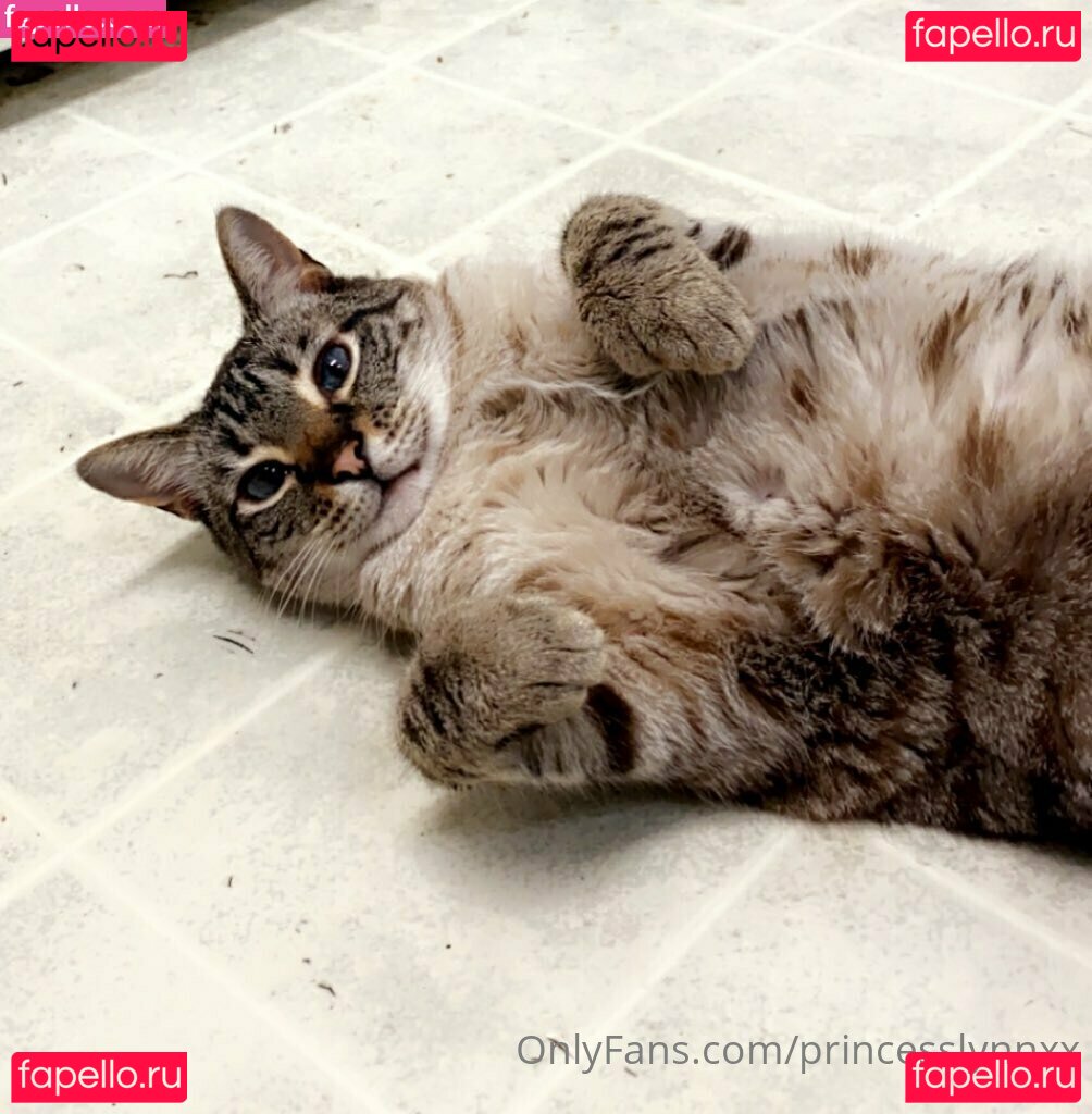 PrincessLynnxx Onlyfans Photo Gallery 