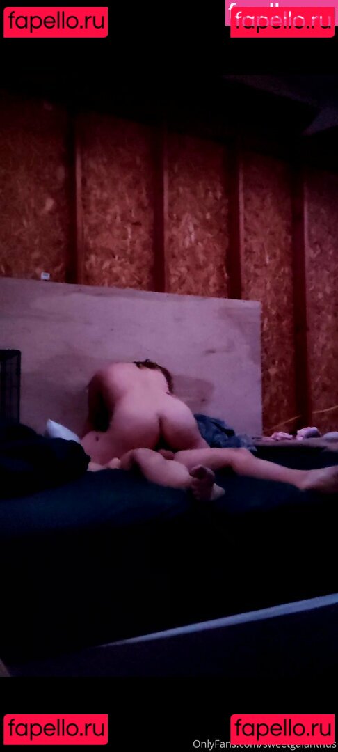 bibimonnahan / sweetgalanthus Onlyfans Photo Gallery 