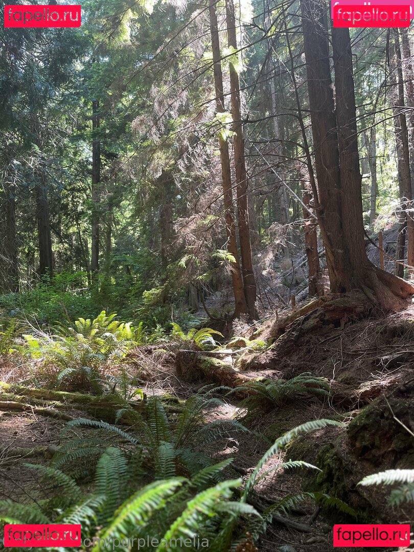 offgridamelia Onlyfans Photo Gallery 