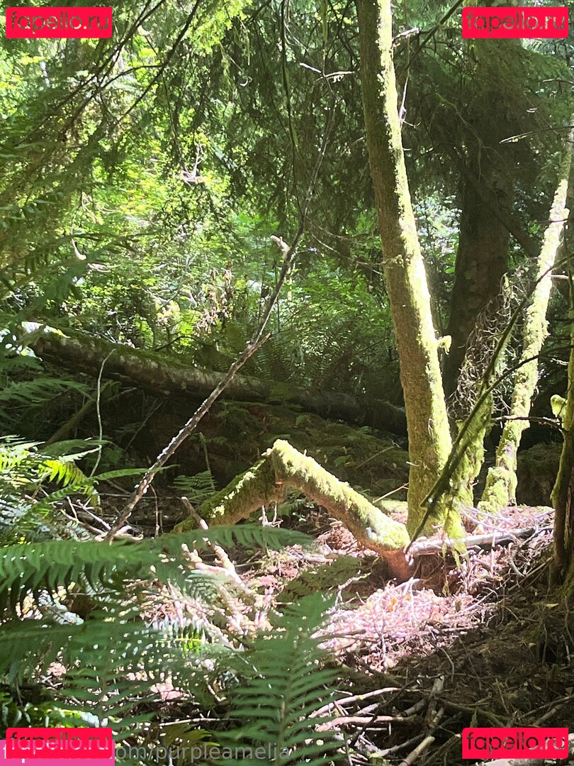 offgridamelia Onlyfans Photo Gallery 