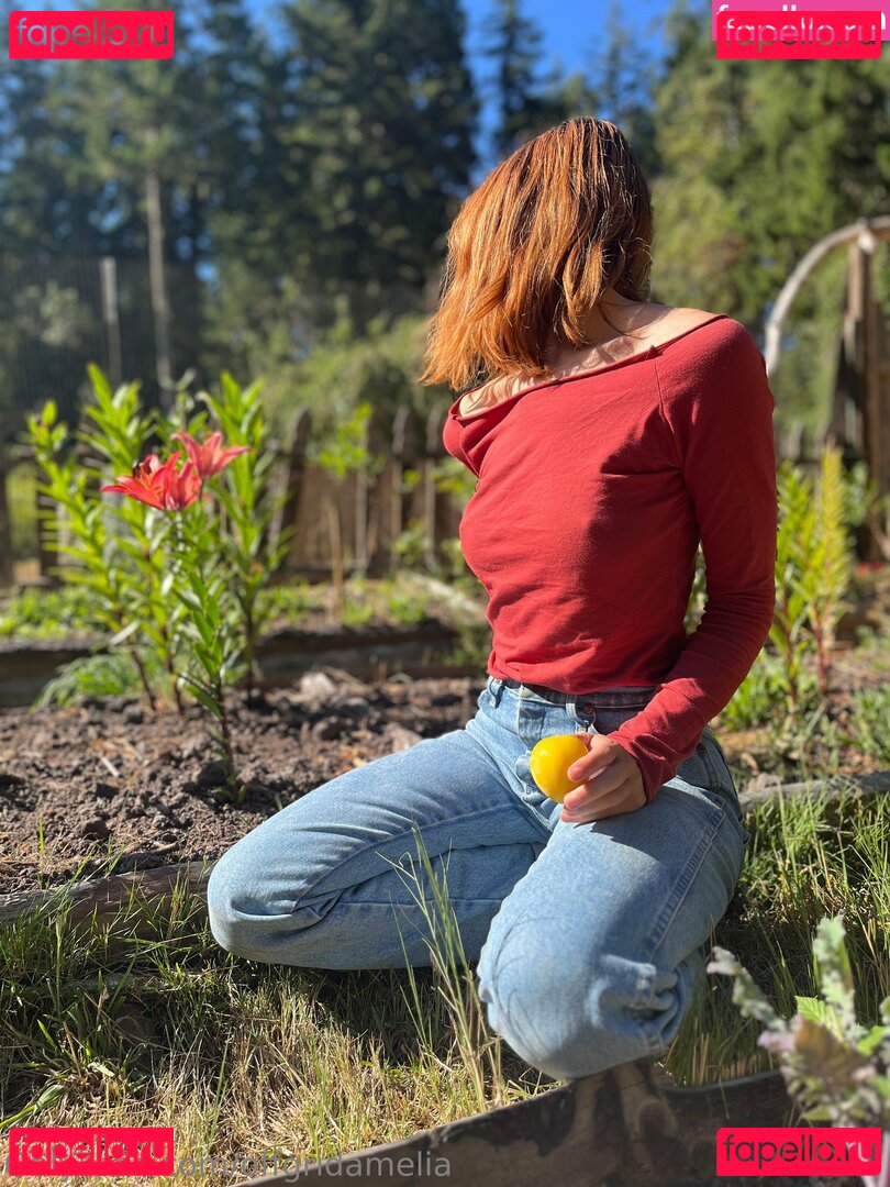 offgridamelia Onlyfans Photo Gallery 