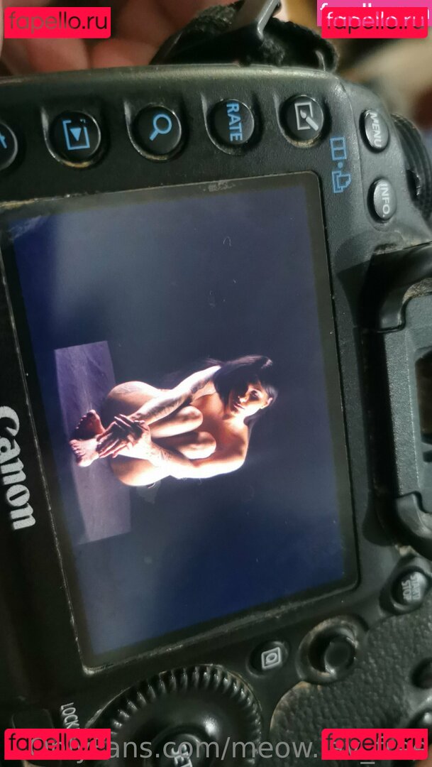 meow.lav_free Onlyfans Photo Gallery 