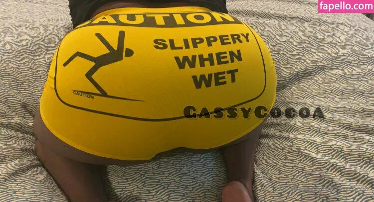 gassycocoa Onlyfans Photo Gallery 