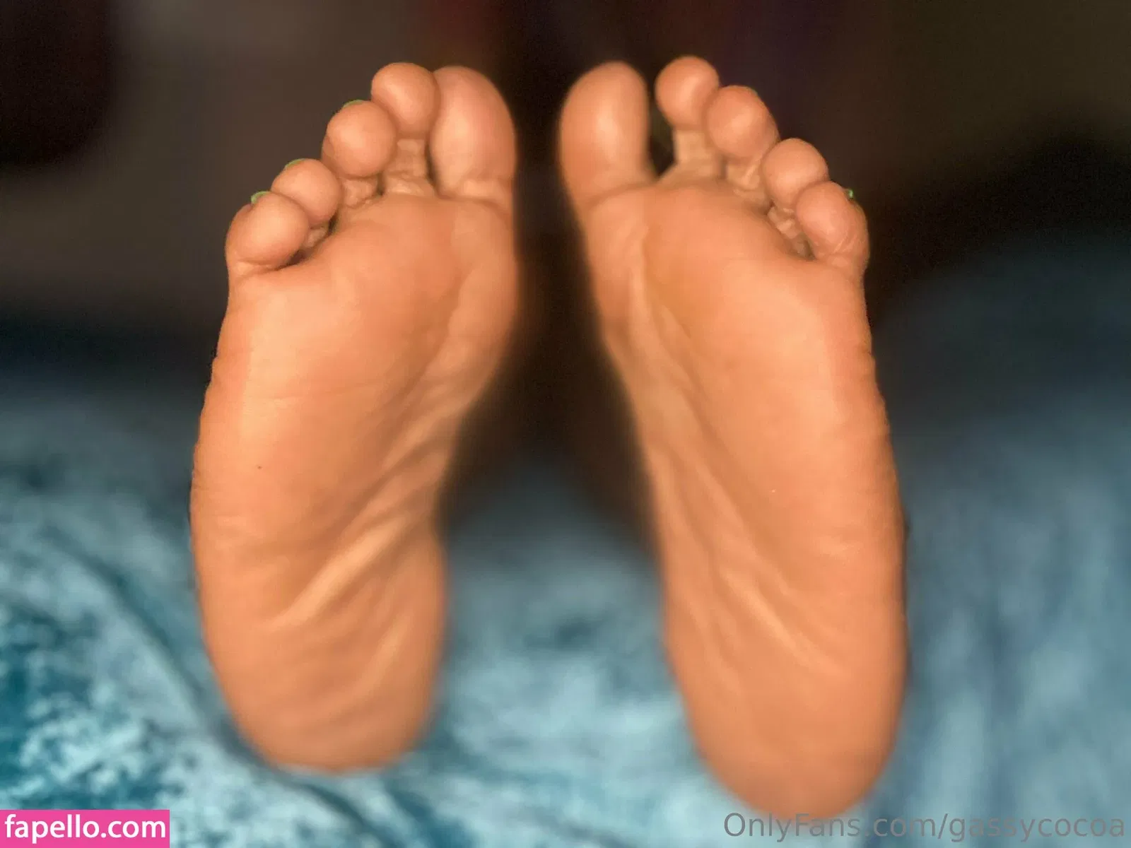 gassycocoa Onlyfans Photo Gallery 