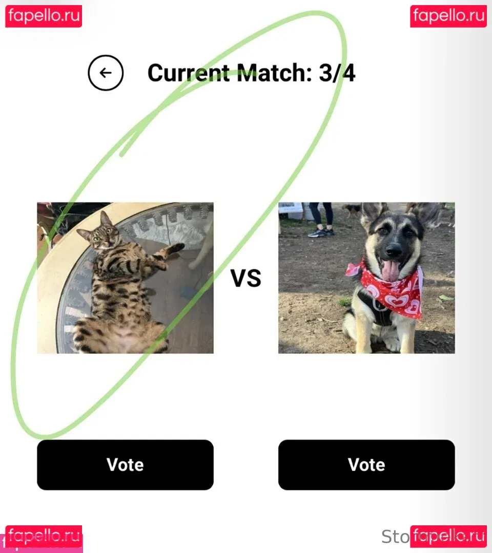 stormiekatt Onlyfans Photo Gallery 