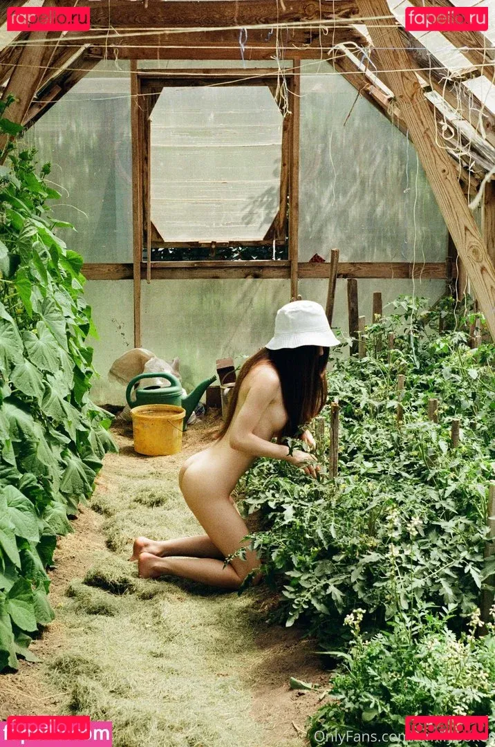 emilypoker Onlyfans Photo Gallery 