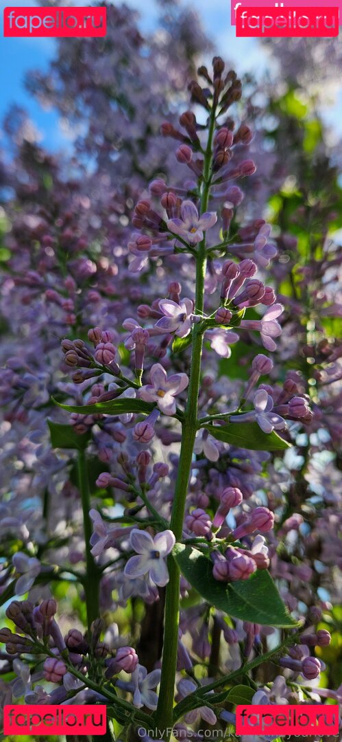 eva_juicy / eva_juicy.snacks Onlyfans Photo Gallery 