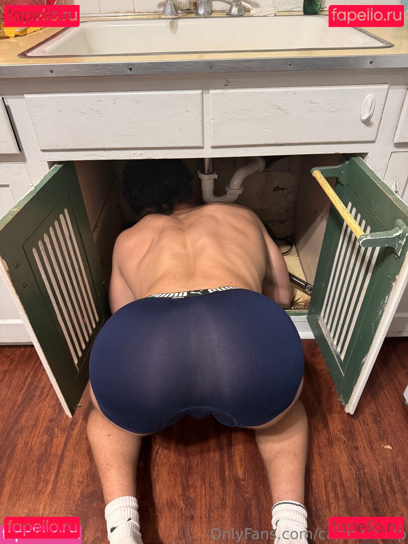 catbackwdp / reel Onlyfans Photo Gallery 