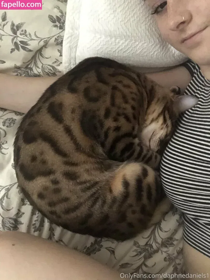 daphnedaniels1 Onlyfans Photo Gallery 
