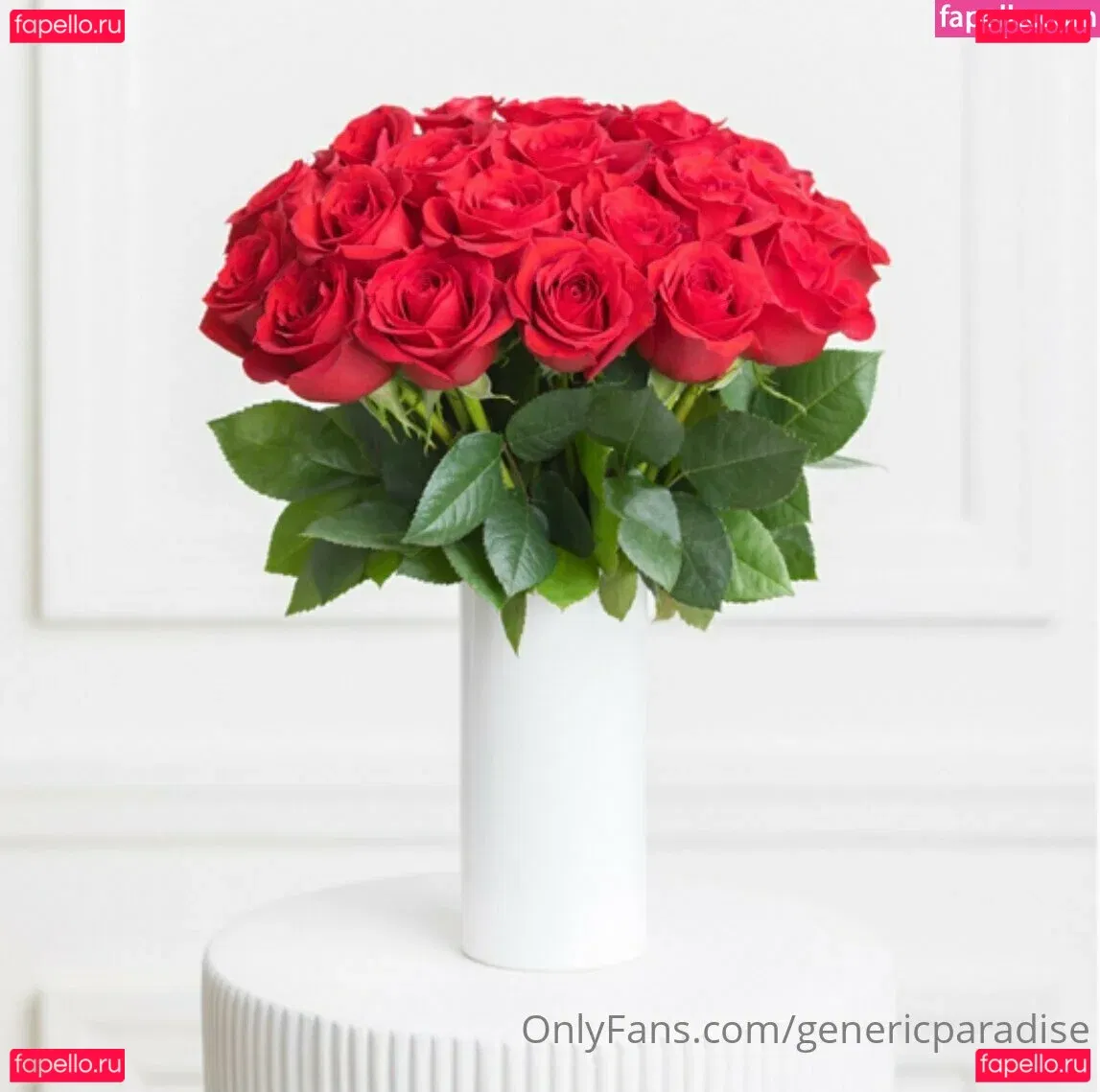 genericparadise Onlyfans Photo Gallery 