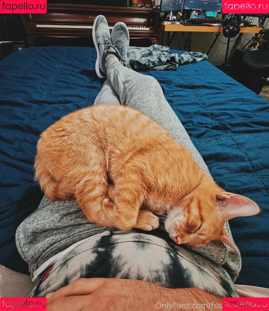 fosterkittendad Onlyfans Photo Gallery 