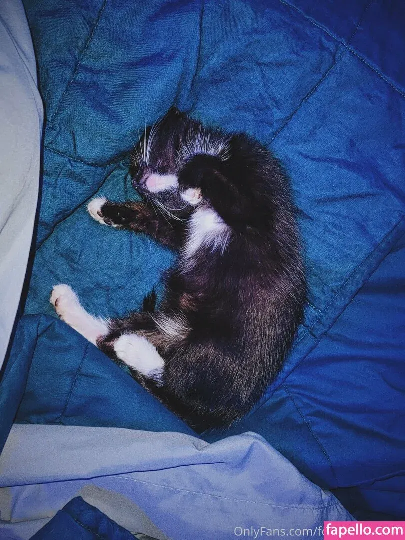 fosterkittendad Onlyfans Photo Gallery 