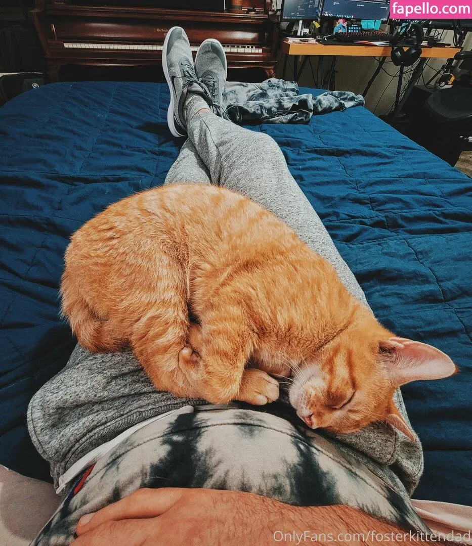 fosterkittendad Onlyfans Photo Gallery 