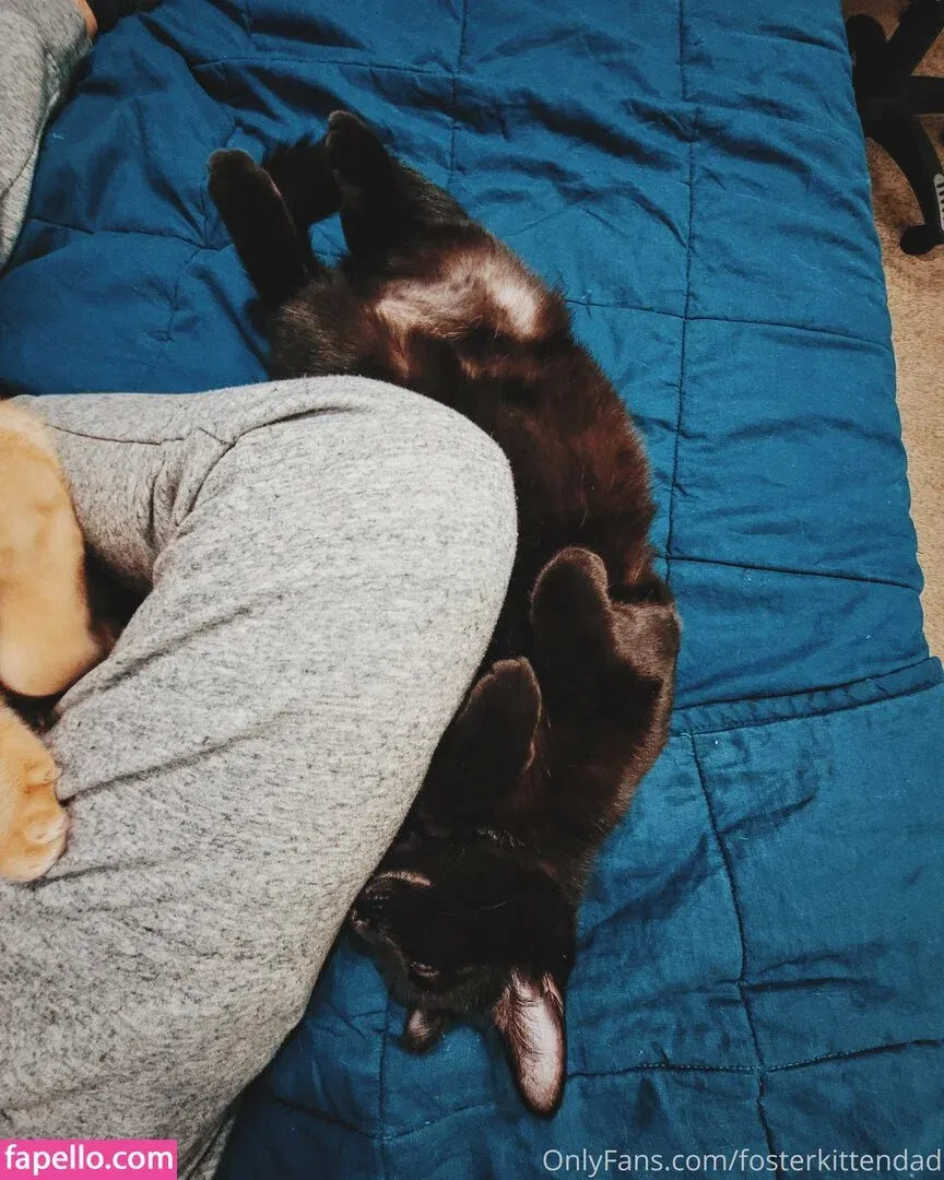fosterkittendad Onlyfans Photo Gallery 