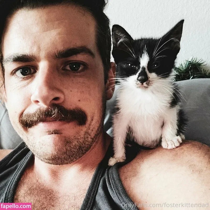 fosterkittendad Onlyfans Photo Gallery 