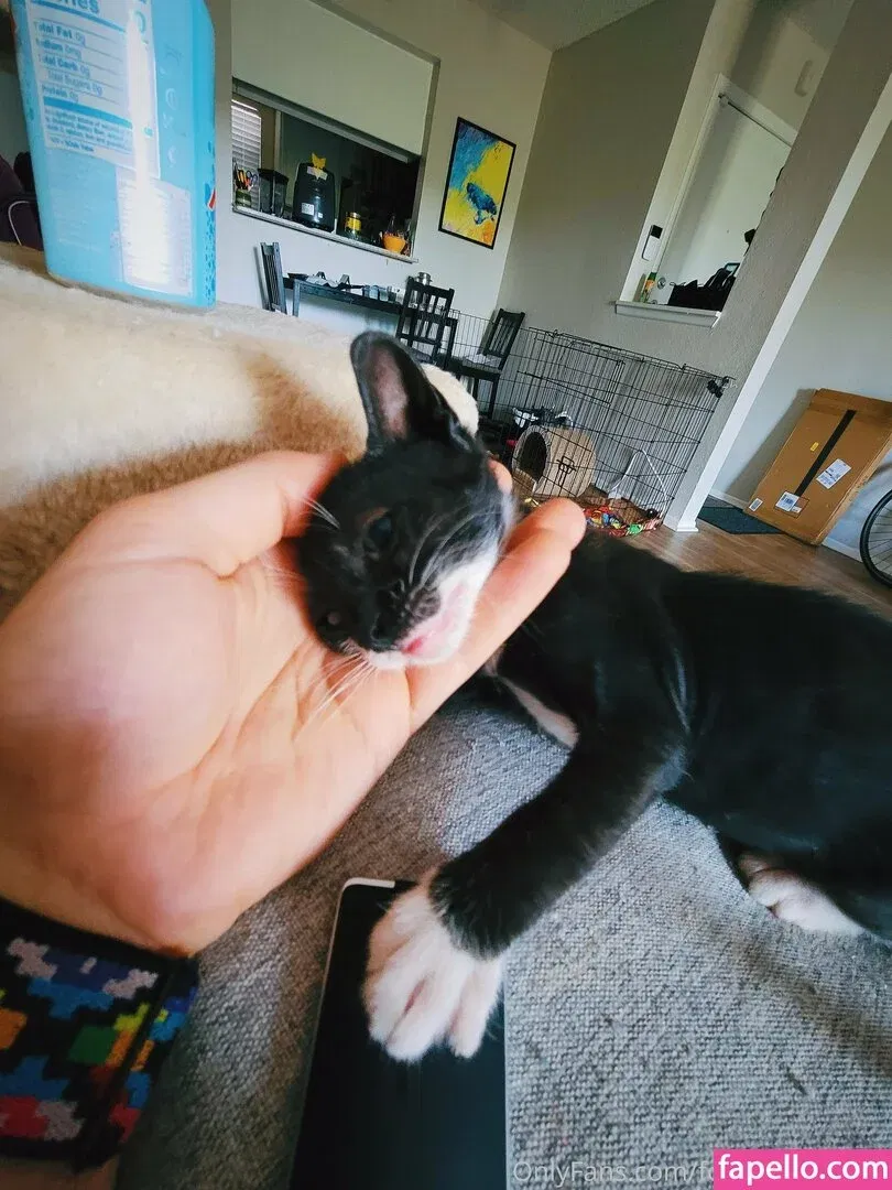 fosterkittendad Onlyfans Photo Gallery 