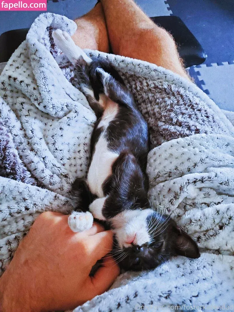 fosterkittendad Onlyfans Photo Gallery 