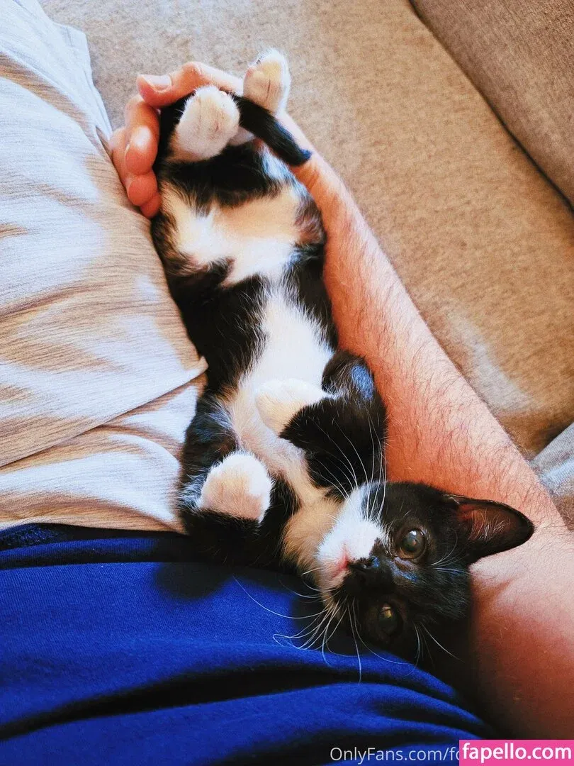 fosterkittendad Onlyfans Photo Gallery 