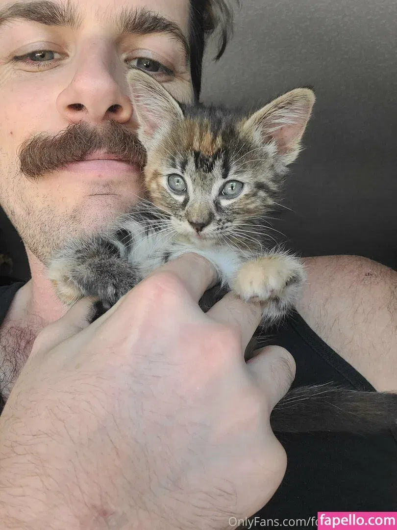 fosterkittendad Onlyfans Photo Gallery 