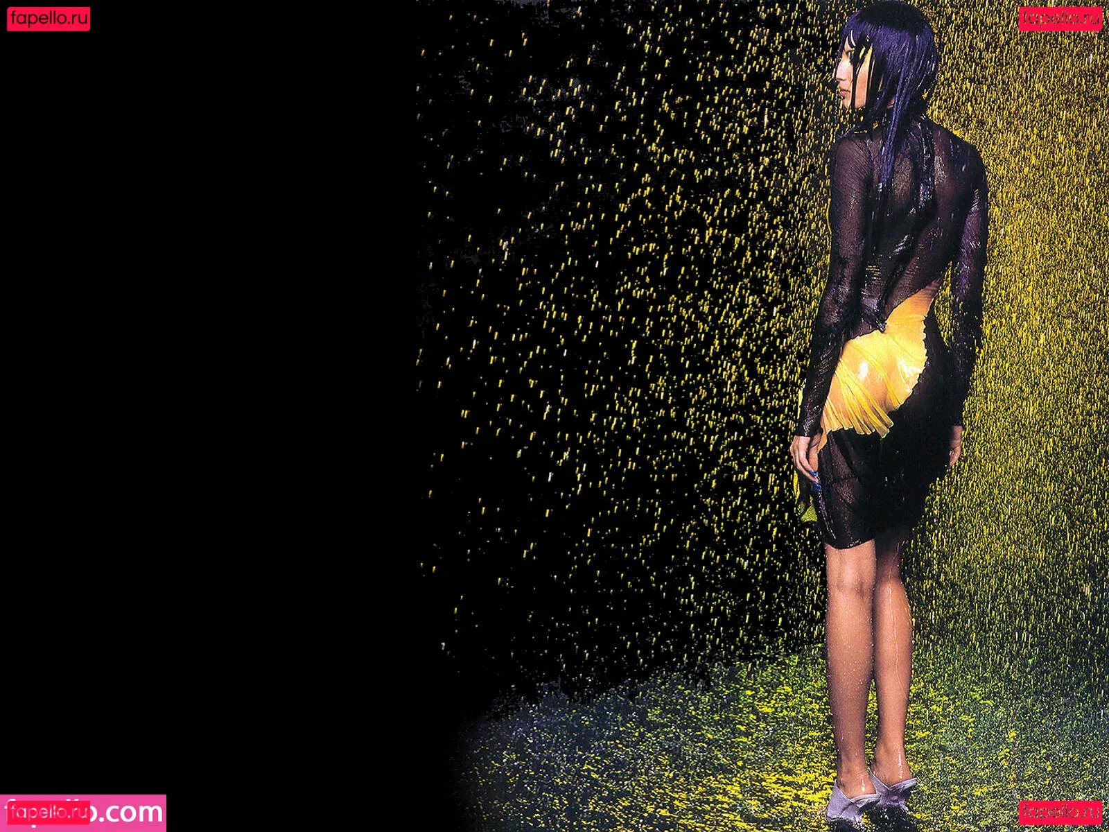 Gisele Bündchen Onlyfans Photo Gallery 