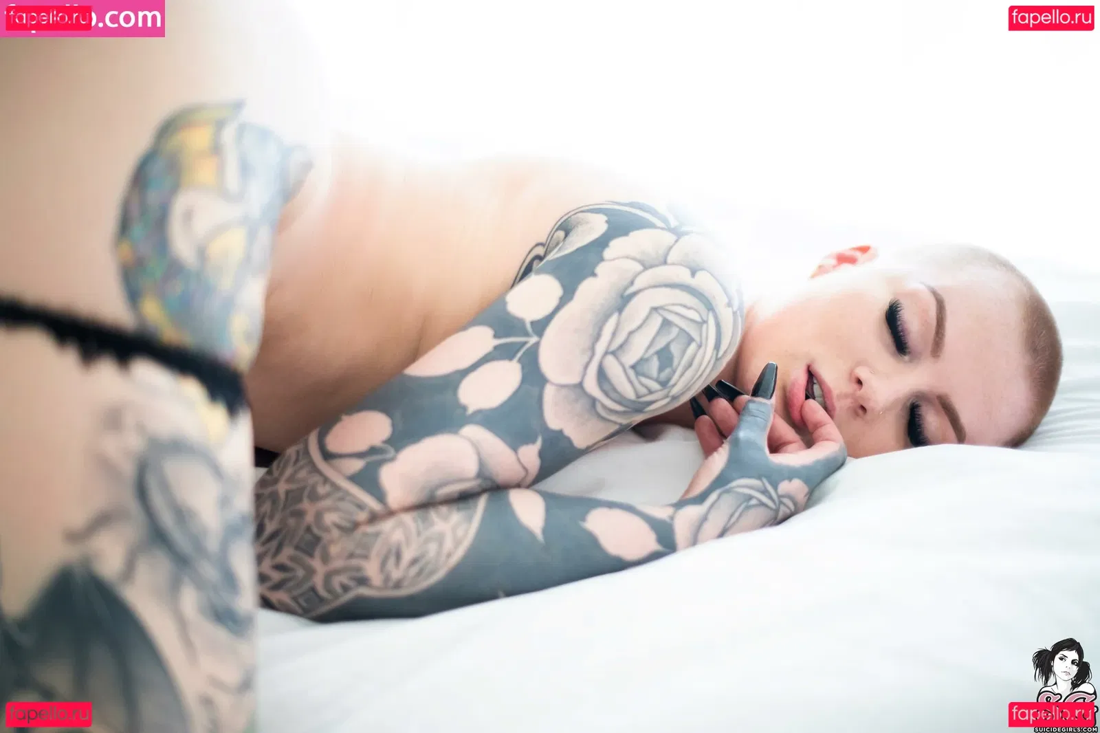 Sierhaus Onlyfans Photo Gallery 