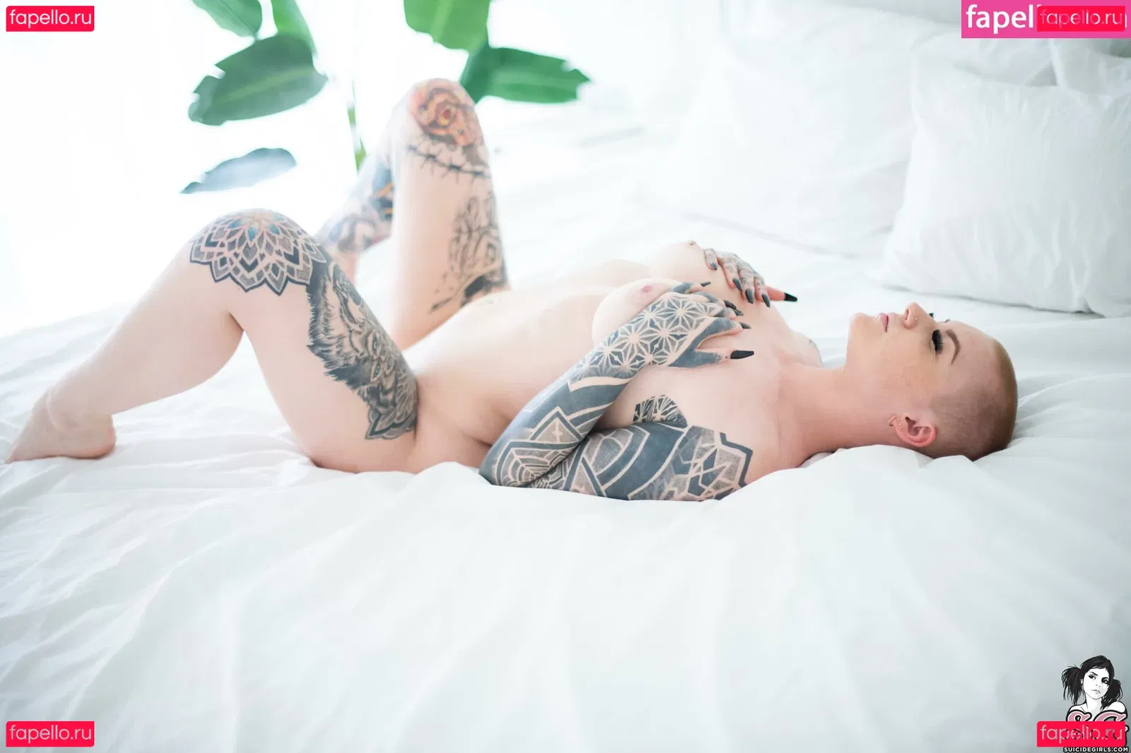 Sierhaus Onlyfans Photo Gallery 