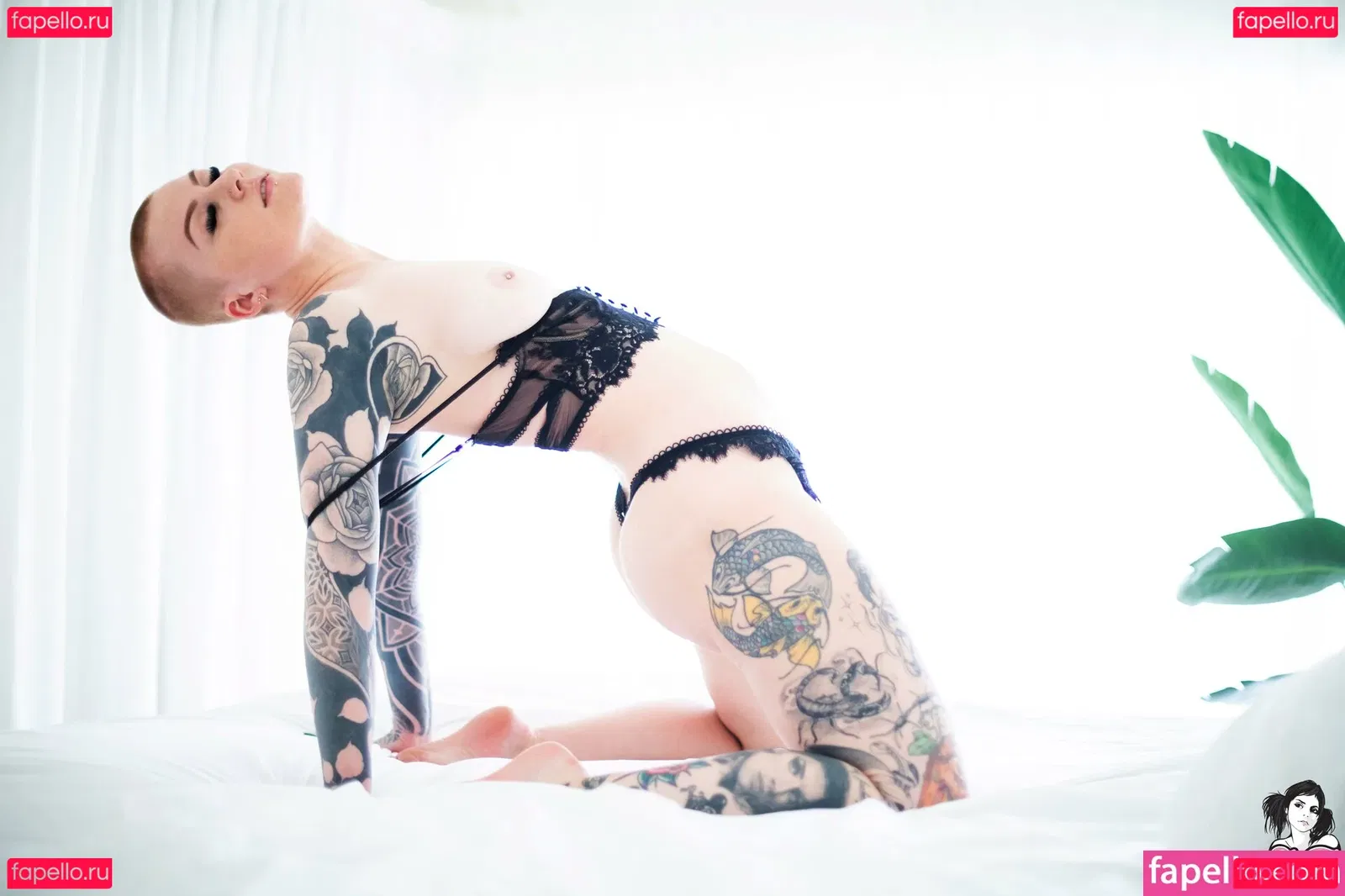 Sierhaus Onlyfans Photo Gallery 