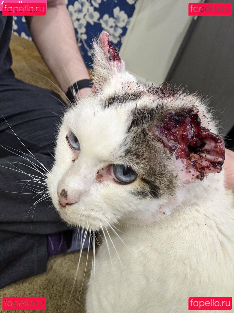 irisreigns / irisreins Onlyfans Photo Gallery 