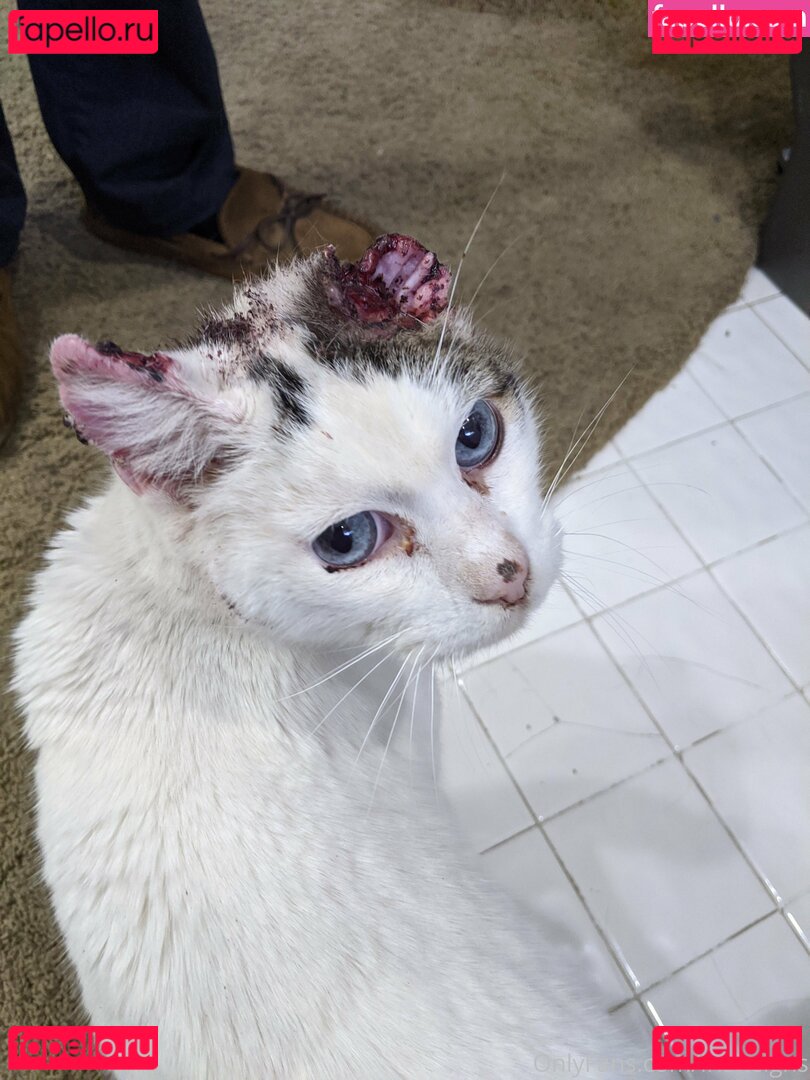 irisreigns / irisreins Onlyfans Photo Gallery 