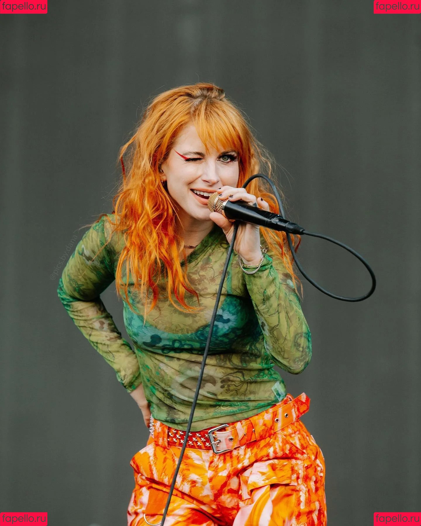 Hayley Williams Onlyfans Photo Gallery 