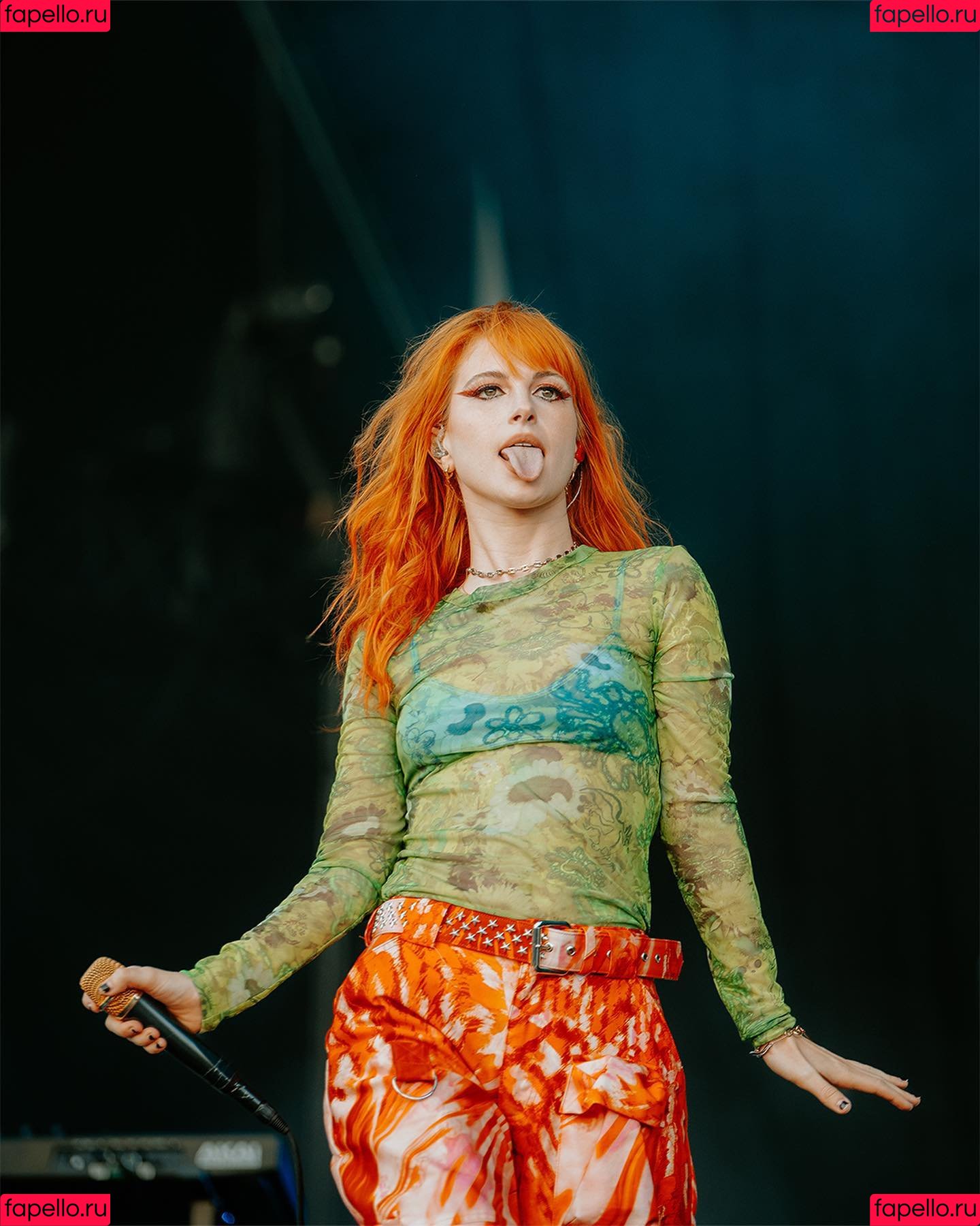 Hayley Williams Onlyfans Photo Gallery 