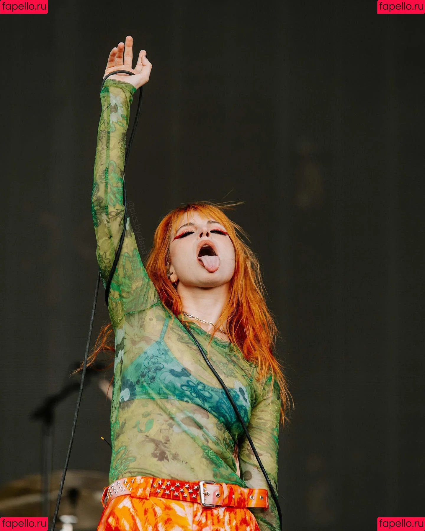 Hayley Williams Onlyfans Photo Gallery 