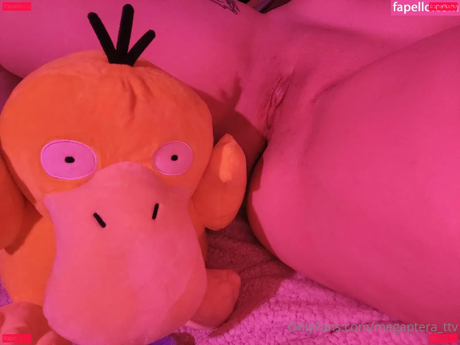 Megaptera Onlyfans Photo Gallery 