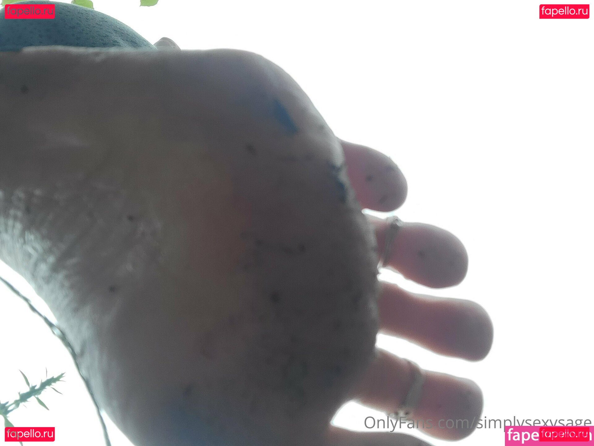 simplysexysage Onlyfans Photo Gallery 