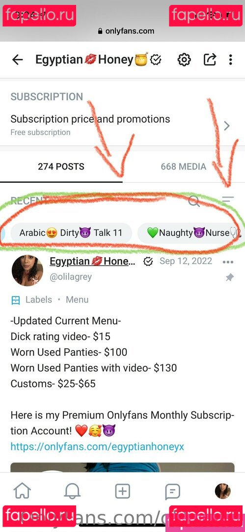 olilagrey / oliv_grey Onlyfans Photo Gallery 