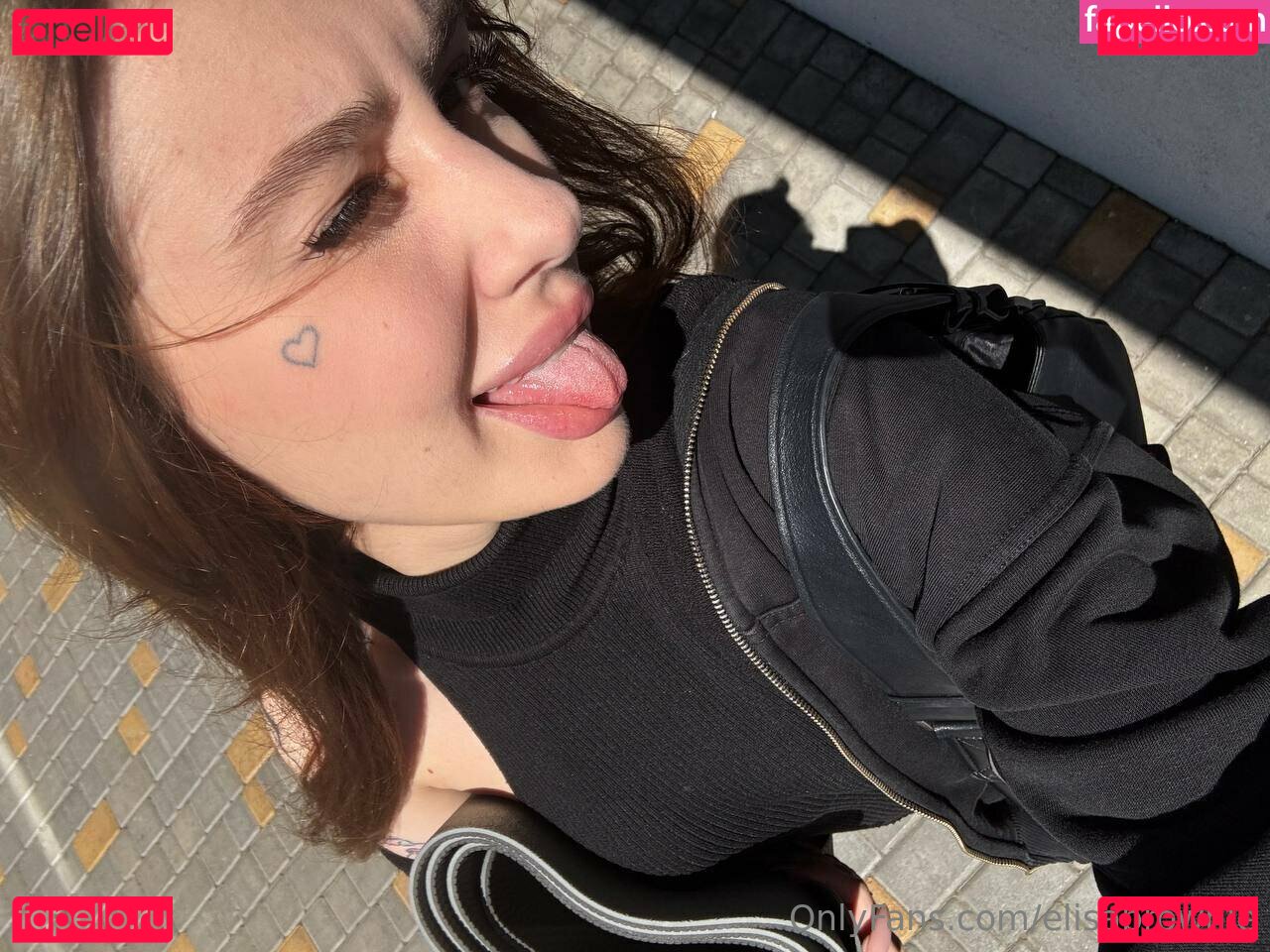 elisablondie / elisabrownie Onlyfans Photo Gallery 