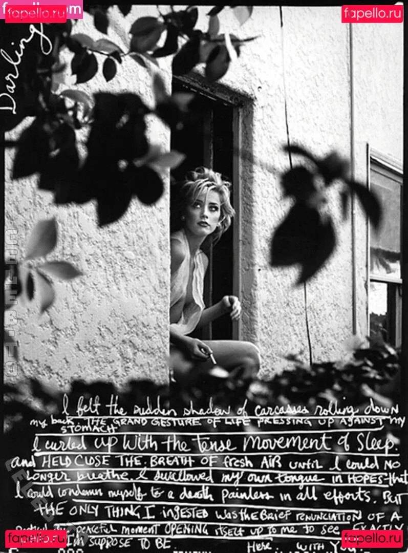 Amber Heard Onlyfans Photo Gallery 