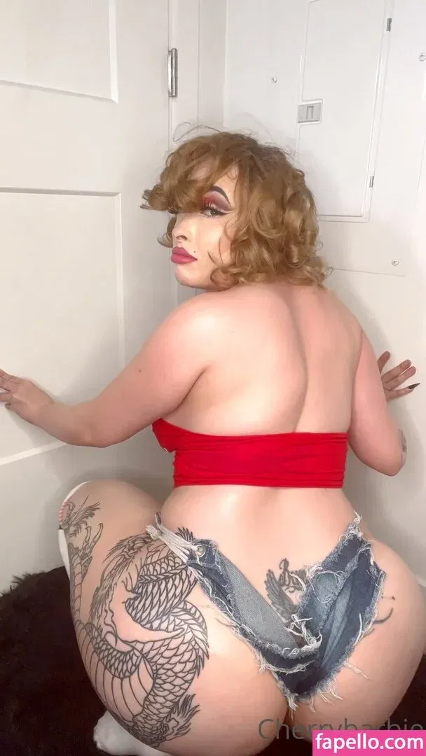 cherrybarbie Onlyfans Photo Gallery 