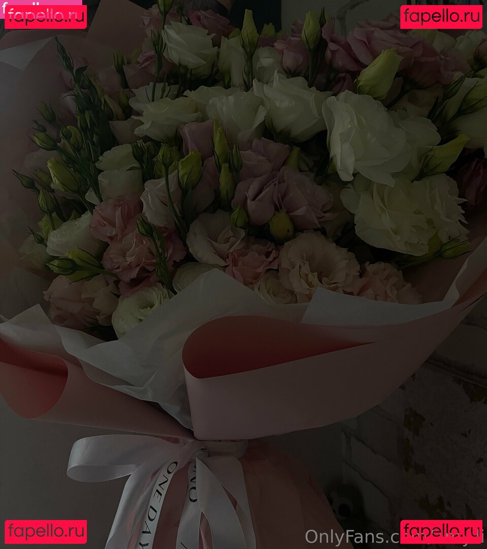 ammyy.li / amy.li Onlyfans Photo Gallery 