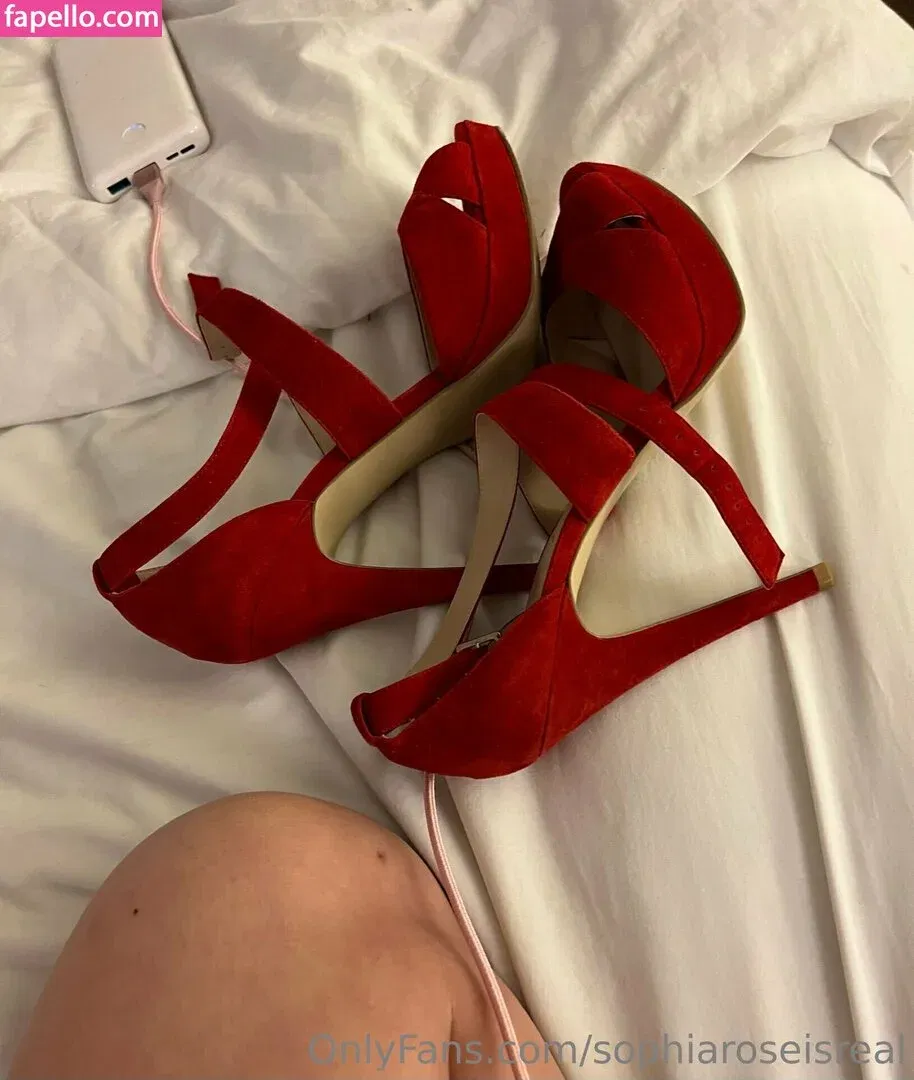 sophiaroseisreal Onlyfans Photo Gallery 