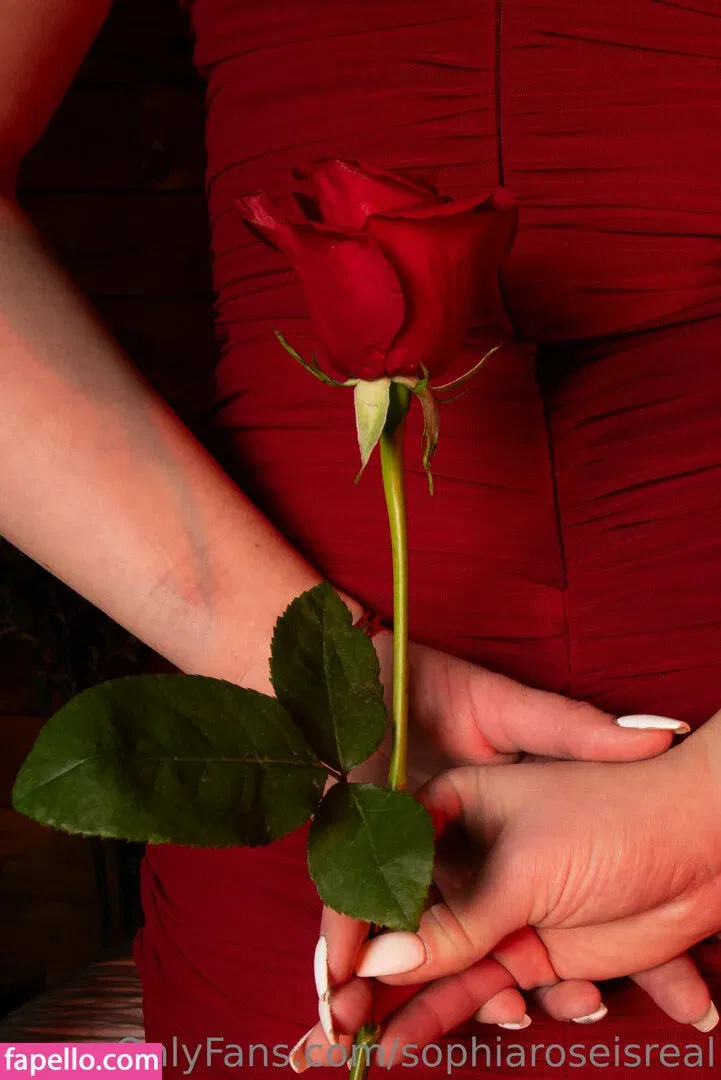sophiaroseisreal Onlyfans Photo Gallery 